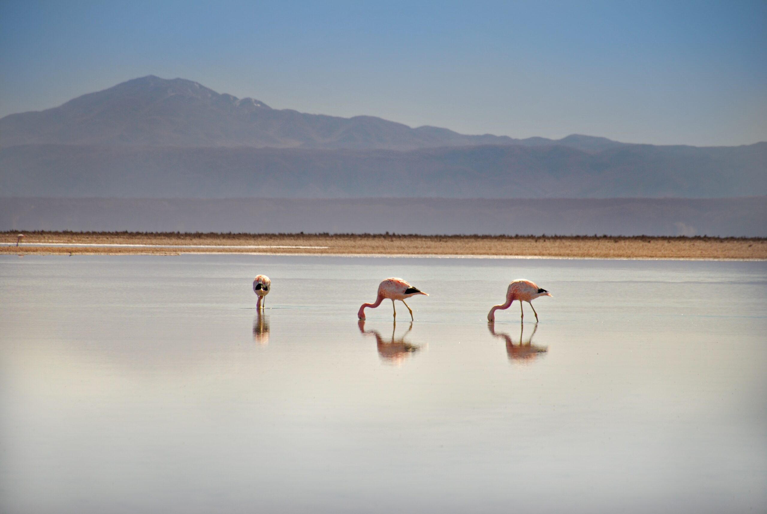 Chile-Atacama-Desert-South-America-